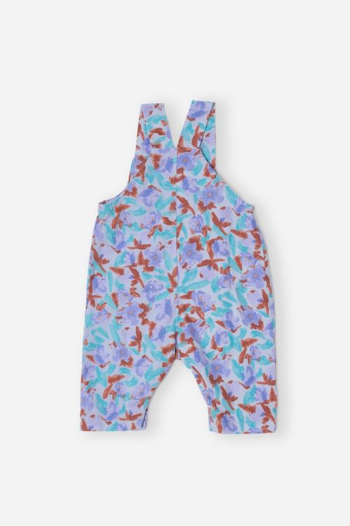  (Bobo Choses - Overall corduroy Watercolo) - La Gamba Rossa Kortrijk
