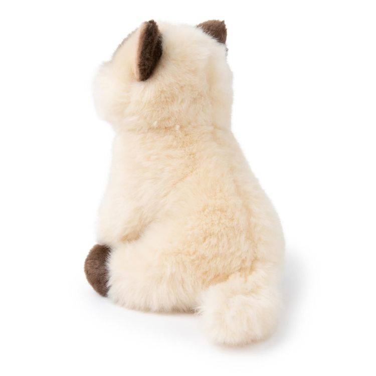  (32179004) - La Gamba Rossa Kortrijk