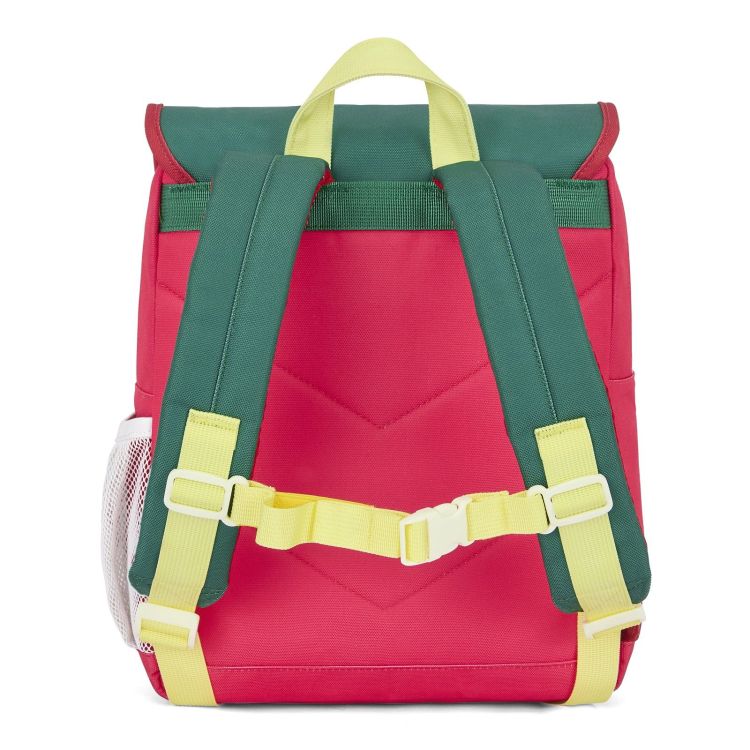  (Hello Hossy - Mini Pastèque 2-5j) - La Gamba Rossa Kortrijk
