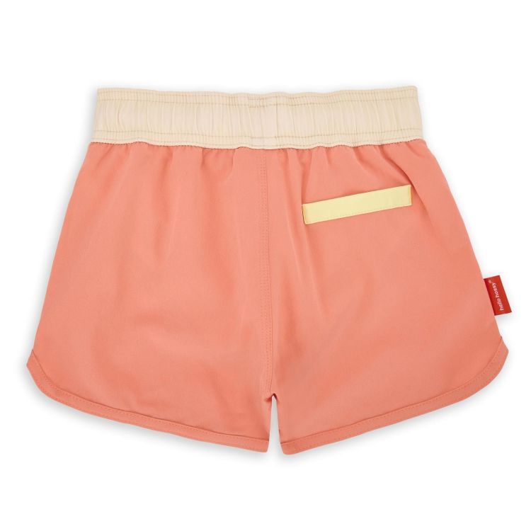  (MAI022-7-8ans) - La Gamba Rossa Kortrijk