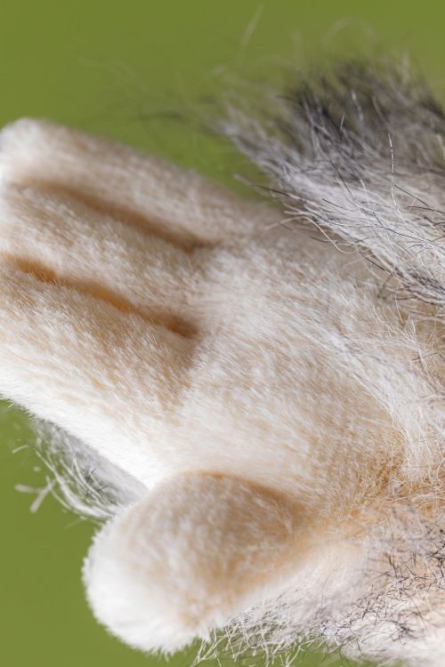  (Jellycat - Bretti Yeti - YEN2YET) - La Gamba Rossa Kortrijk