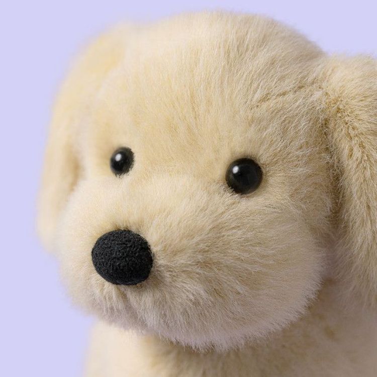  (Jellycat - Golden Puppy) - La Gamba Rossa Kortrijk