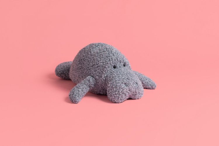  (Jellycat - Maffles Manatee) - La Gamba Rossa Kortrijk