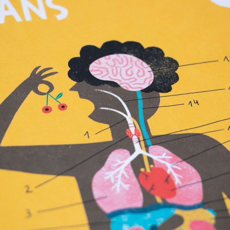  (Londji - Learn&Fun Inside me - LF004U) - La Gamba Rossa Kortrijk