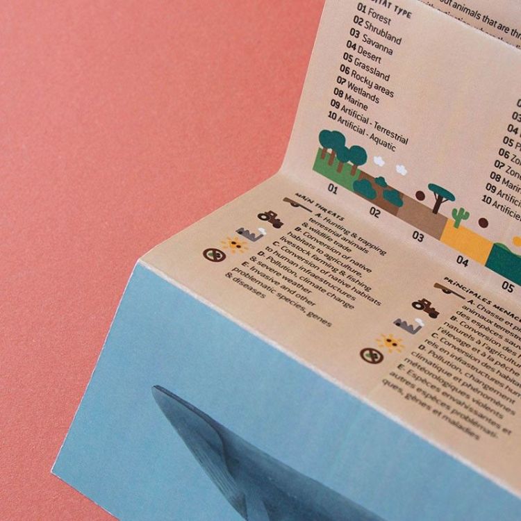  (Londji - Puzzle Life - PZ604U) - La Gamba Rossa Kortrijk