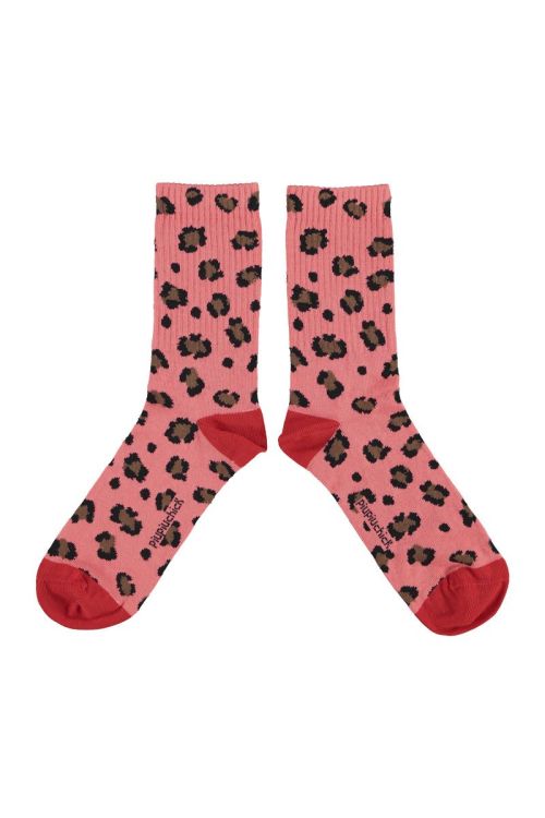 (Piupiuchick - Socks) - La Gamba Rossa Kortrijk