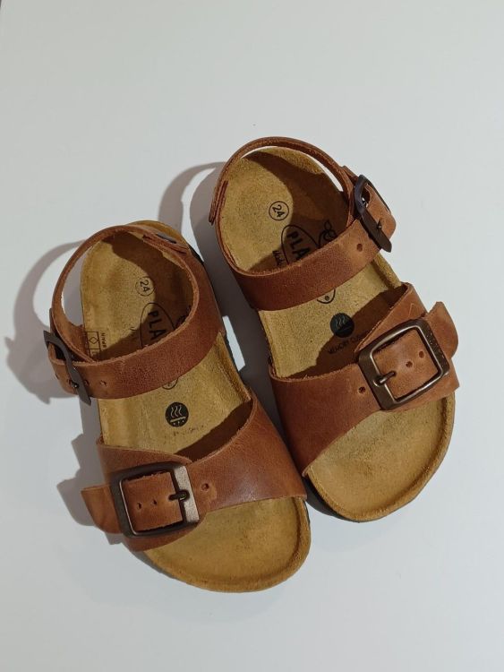  (Plakton - Apuro Cuero 534) - La Gamba Rossa Kortrijk