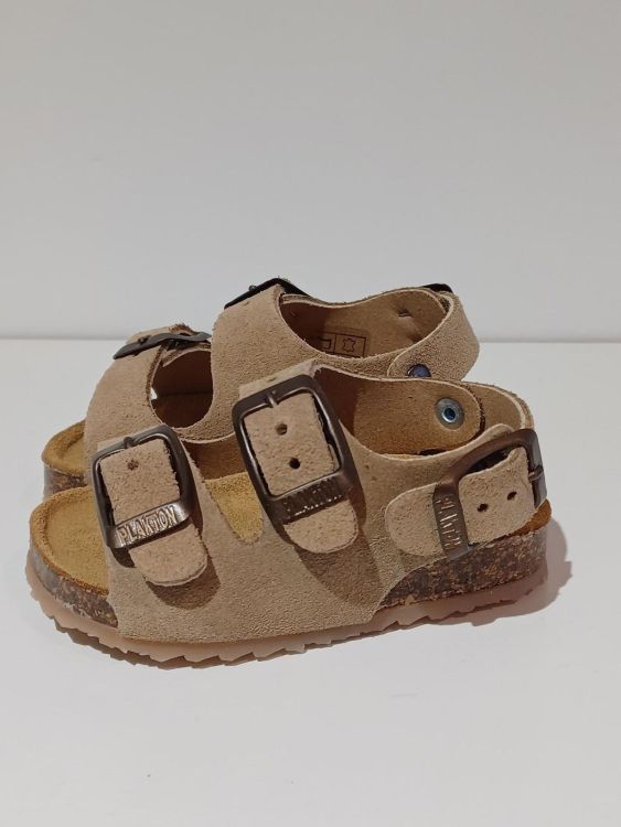  (Plakton - Afelpado Tan 106) - La Gamba Rossa Kortrijk