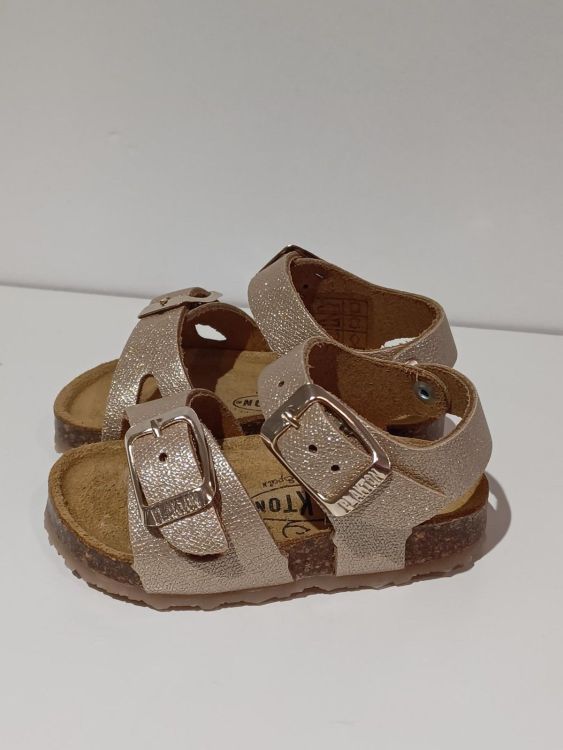  (Plakton - Marylin Oro) - La Gamba Rossa Kortrijk