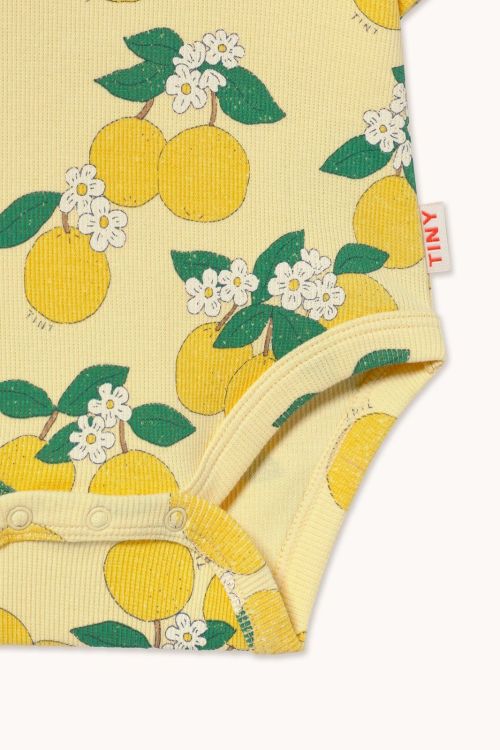  (Tinycottons - Body Rib Oranges - SS26-11) - La Gamba Rossa Kortrijk