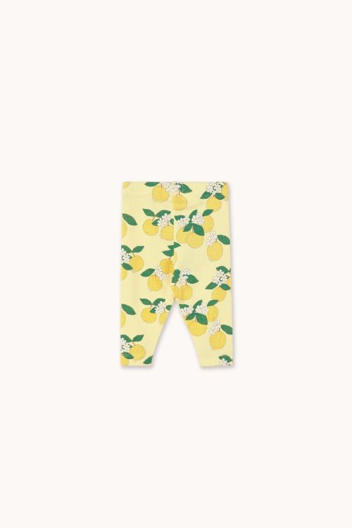  (Tinycottons - Pant rib Oranges - SS26-11) - La Gamba Rossa Kortrijk