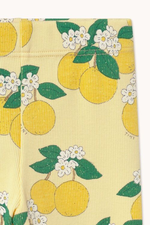  (Tinycottons - Pant rib Oranges - SS26-11) - La Gamba Rossa Kortrijk