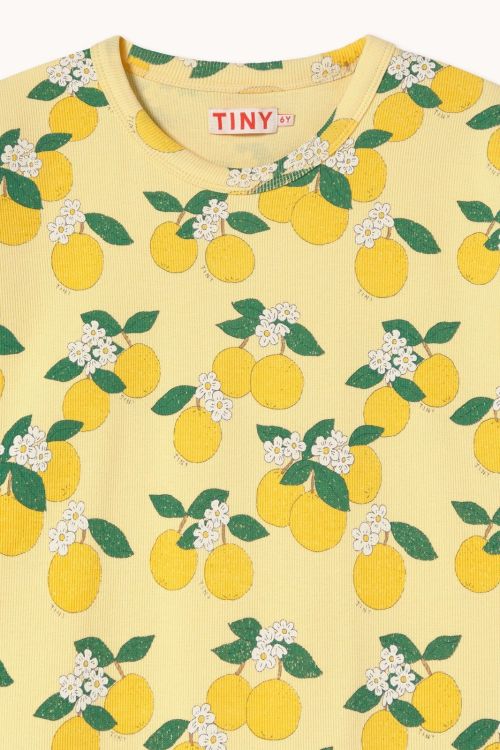  (Tinycottons - Rib T-shirt Oranges - SS26) - La Gamba Rossa Kortrijk